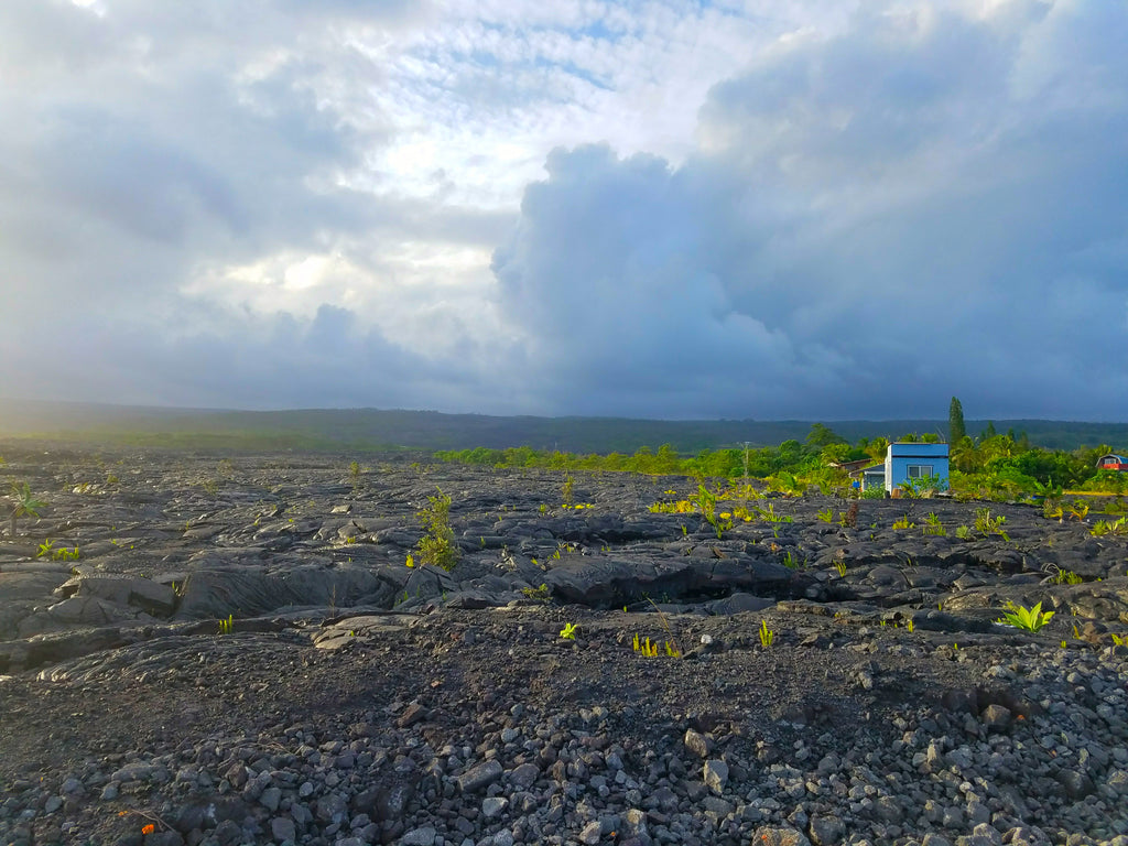 Lava fields canvas