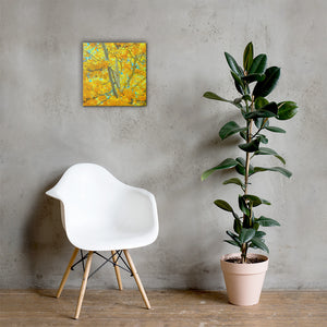 Aspen gold Canvas