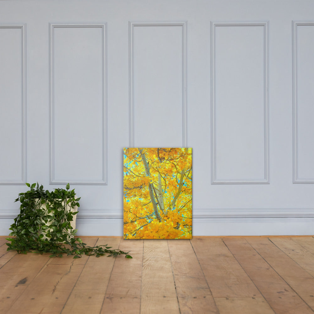 Aspen gold Canvas
