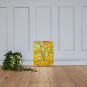 Aspen gold Canvas