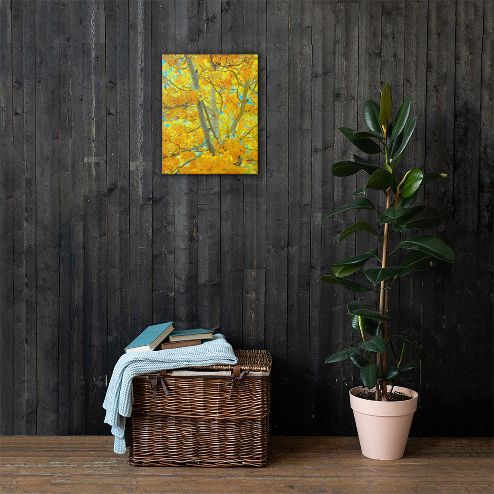 Aspen gold Canvas
