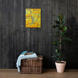 Aspen gold Canvas