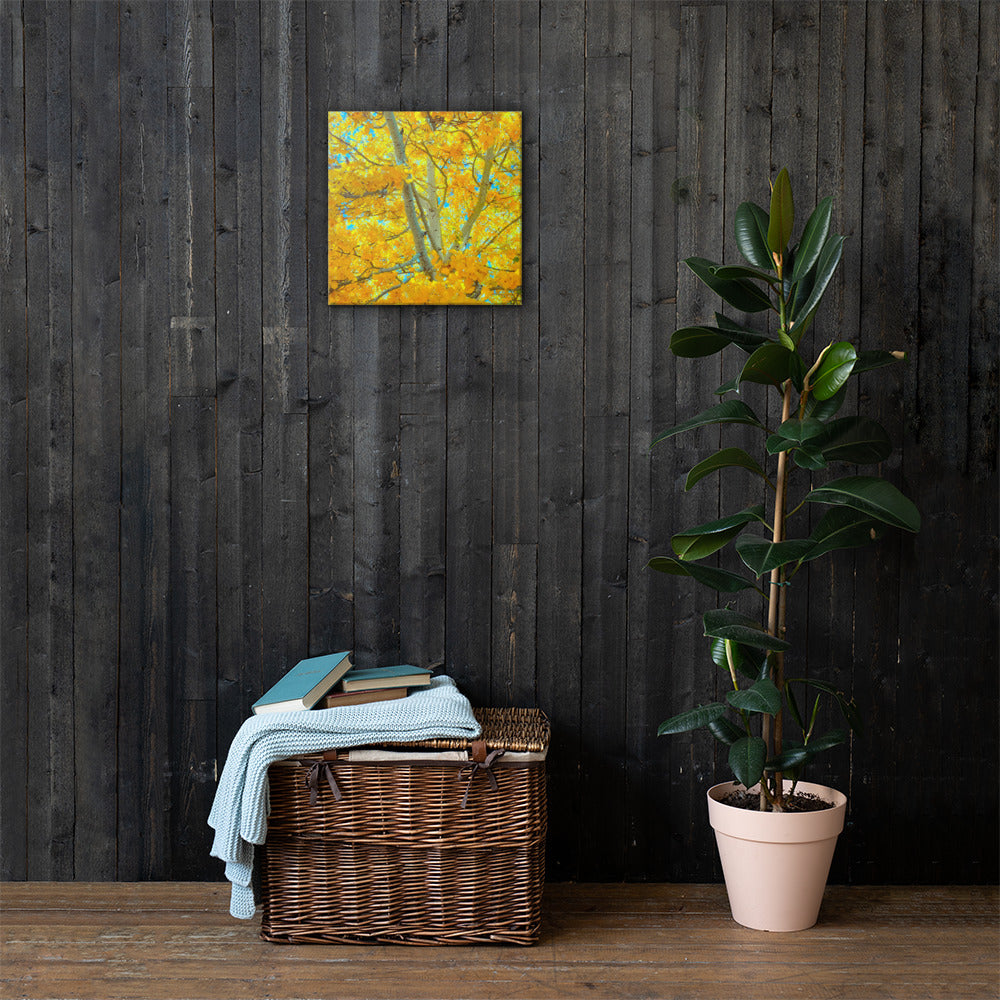 Aspen gold Canvas
