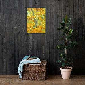 Aspen gold Canvas