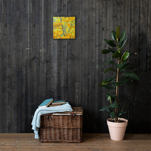 Aspen gold Canvas