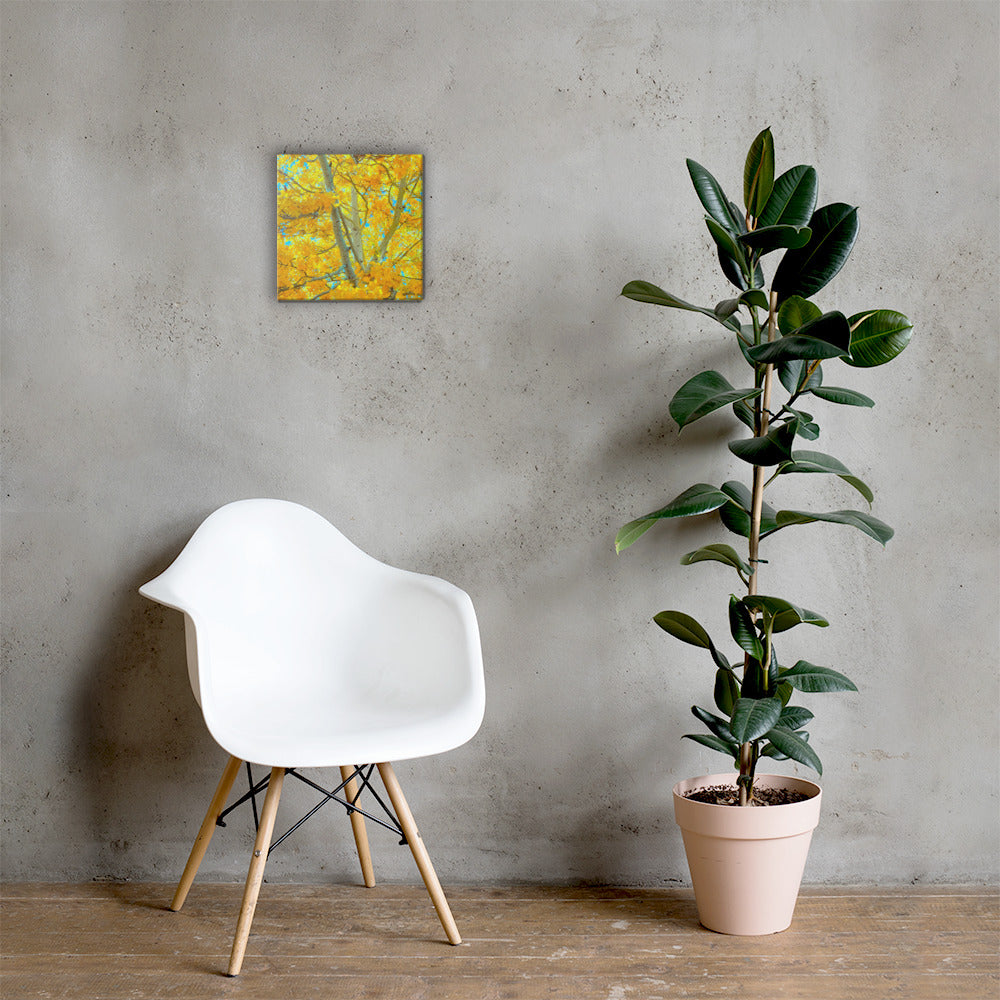 Aspen gold Canvas