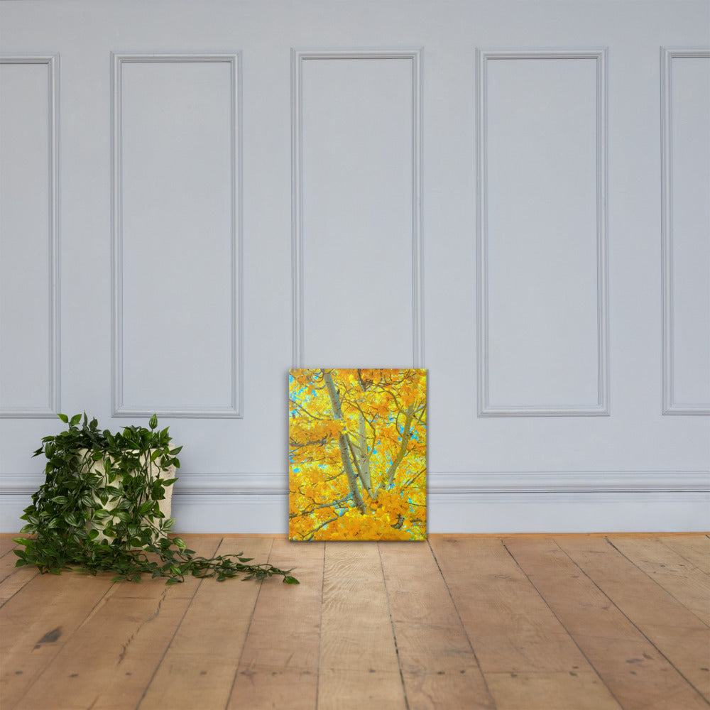 Aspen gold Canvas